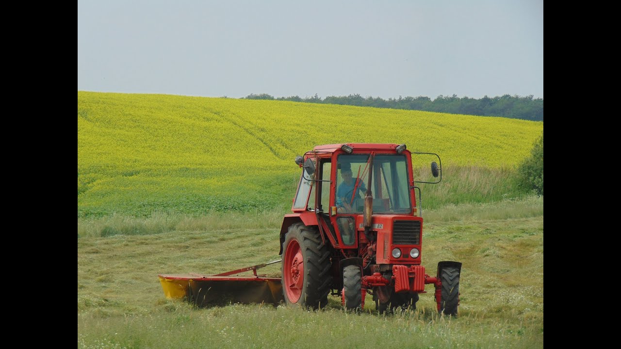 Koszenie traw 2016 - Wirax  Z-069 , MTZ
