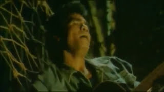 Film - Tarzan Raja Rimba ( Barry Prima )