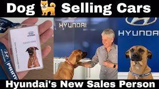 Hyundai Sales Dog Tucson | Why Hyundai Recruit a Dog ?  | Js Auto Reviews | Tamil Car Review