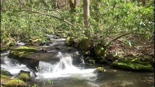 GUIDED MEDITATION FOR INNER PEACE