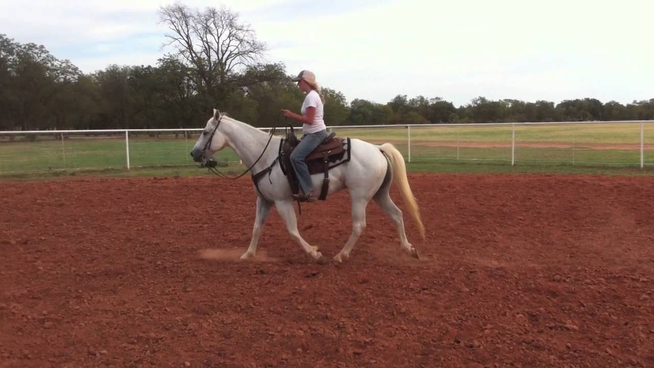Troubleroane- AQHA Ranch Horse/Kids Horse/Prospect- Doc Olena/Smart Little Lena- $6500