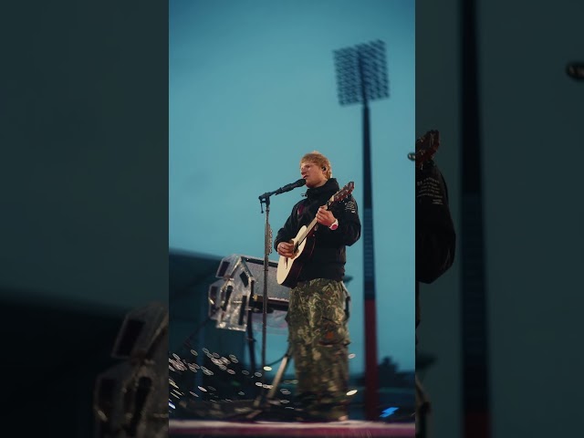 you guys requested Supermarket Flowers x