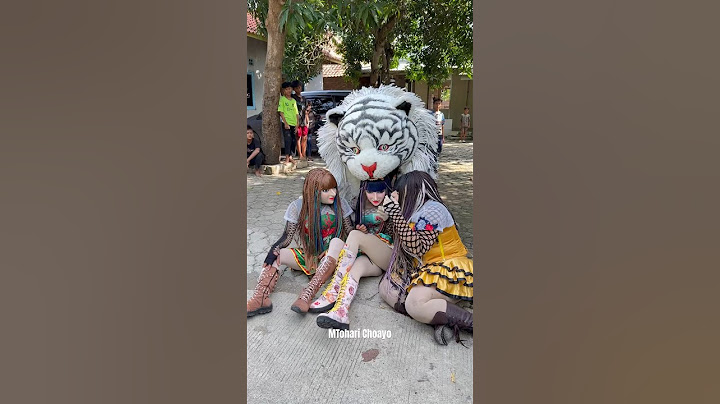 Detik detik trio cewe cantik dim@k@n can macanan❗️
