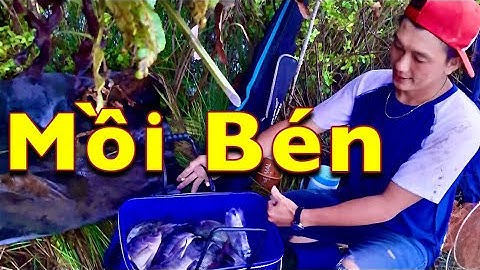 câu cá phi nước mặn miền tây nhất định phải câu mồi này  #1