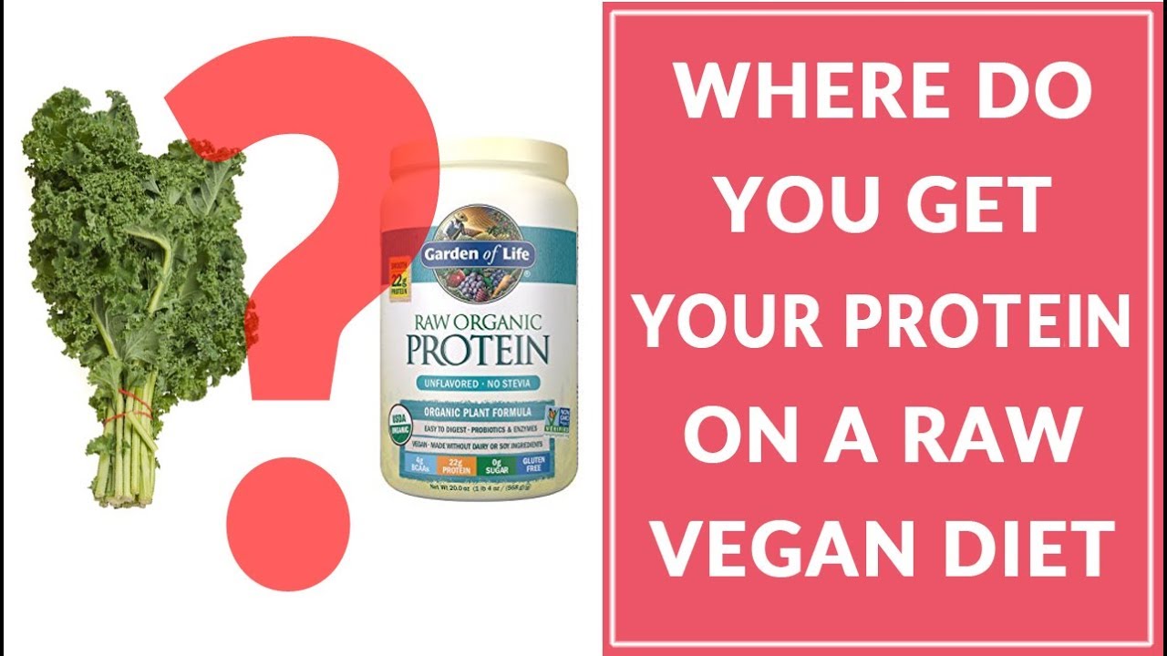 Where Do You Get Your Protein On A Raw Vegan Diet Youtube 