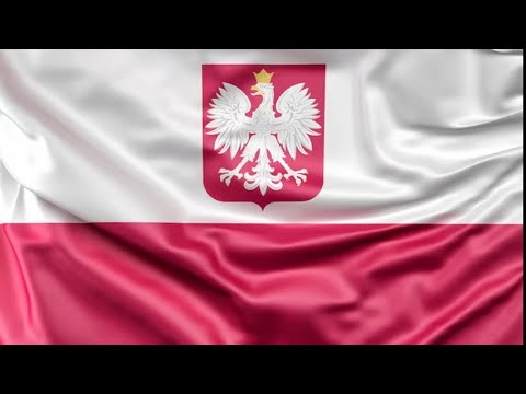 Zaloguj się do gry Aviator w wersji polskiej na 1win - Grać w kasyno online w Polsce