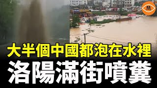 大半個中國都泡在水裡，洛陽滿街噴糞，豆腐渣排水沒有任何功能
