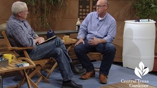 Water Wise Gardens Daniel Cunningham Central Texas Gardener