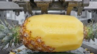Inside a High-Tech Pineapple Juice Factory | From Fresh Pineapples to Bottles