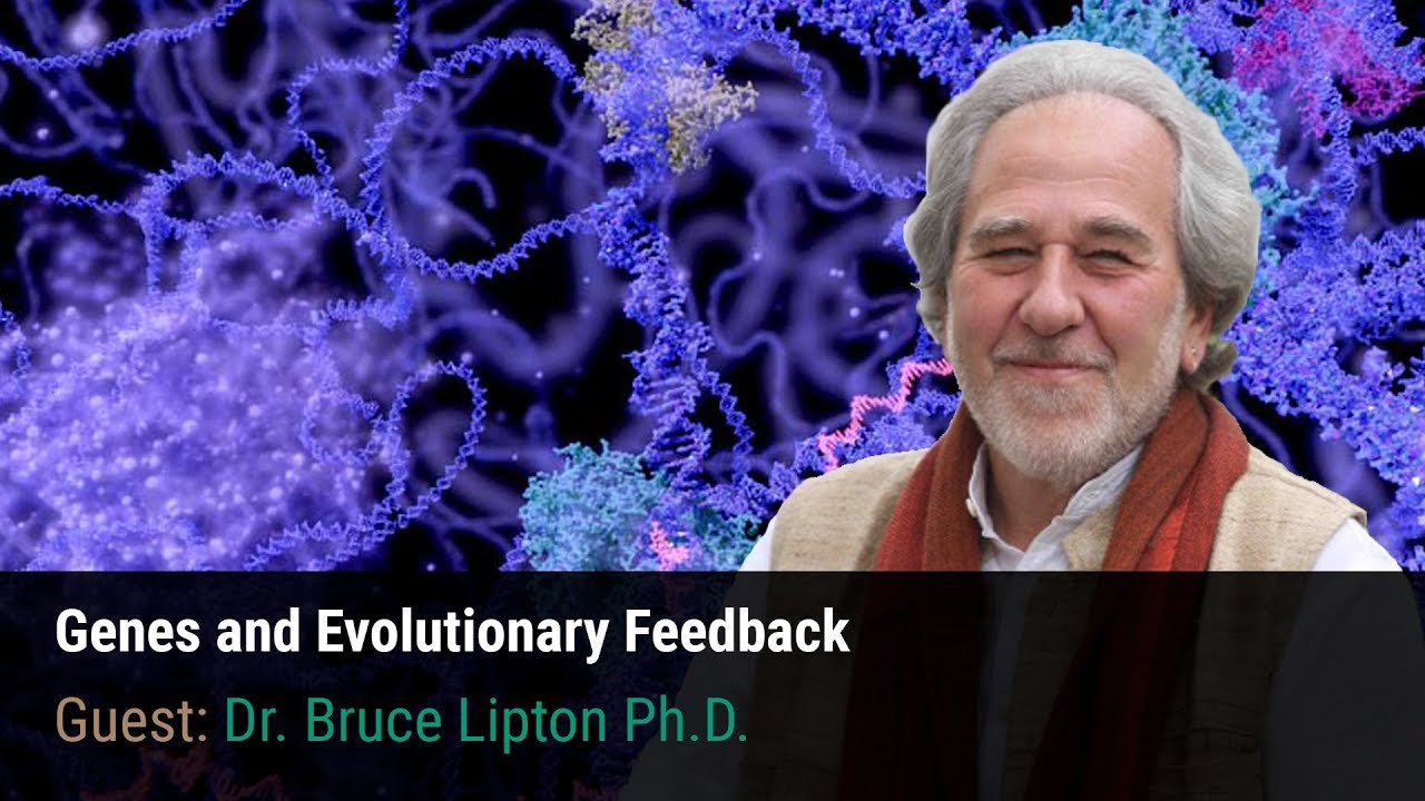 Genes and Evolutionary Feedback with Dr. Bruce Lipton - YouTube