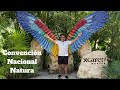 Convención Nacional Natura a Hotel Xcaret México 2022 (2020) Mi experiencia real