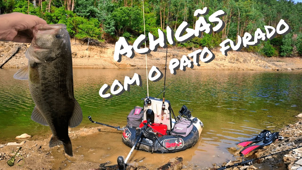 achigãs com pato furado 🛟| Aguieira 2025 🎣🎣🎣