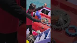 Story Nelayan || Kapal Juwana Pati Jawa Tengah