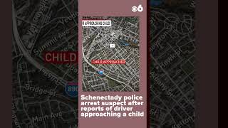 Schenectady police arrest Vicky Balak after reports of a driver approaching a child.