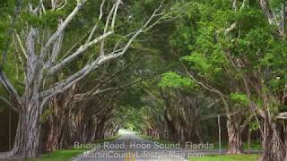 Bridge Road, Hobe Sound, Treasure Coast Video Produ tion