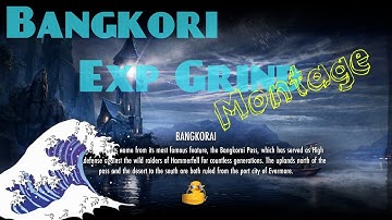 Leveling a Friend From 40 - 50