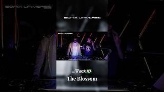 THE BLOSSOM 🔊 A Journey Through Sound #hypnotictechno #techno #technodance #housemusic