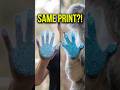 The "Weird Science" Hook: Why Police Fear Koala Fingerprints 🧬