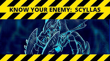 Phoenix Point Training:  Jeric