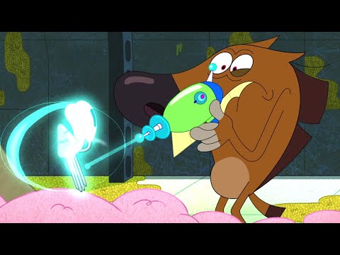 Zig & Sharko | TINKY TOYS (S02E40) BEST CARTOON COLLECTION | New Episodes in HD