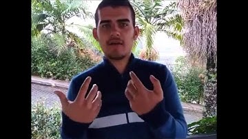 Individual Differences In Second Language Learning