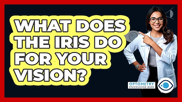 What Does The Iris Do For Your Vision? - Optometry Knowledge Base