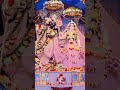 #shayari #viral #sortvideo #motivation #trending #jay Shri Krishna Radhe