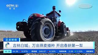 [正点财经]吉林白城：万亩燕麦播种 开启春耕第一犁| 财经风云