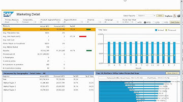 SAP® BusinessObjects™ Sales Analysis for Retail powered by SAP HANA
