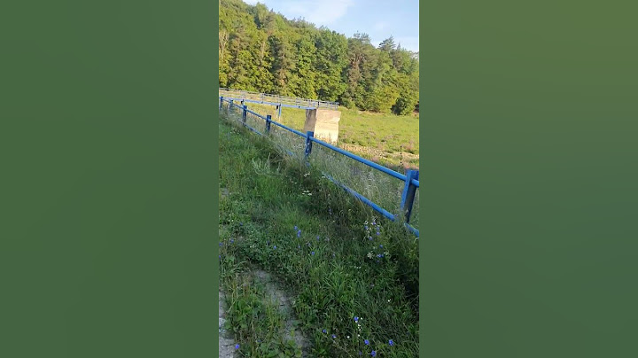 Jeden smutný, vypustený rybním v Továrnom 3.8.2025