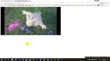 URL Casesensitive Browser Cache Problems