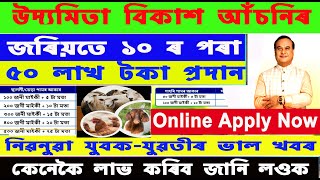 উদ্যমিতা বিকাশ আচঁনি I NLM Udyamimitra Online Registration I NLM  Udyamita Online Apply 