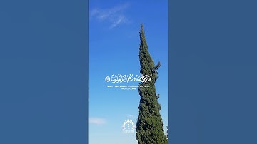 وإن ربك ليعلم ما تكنّ صدورهم وما يعلنون - سورة النمل - رعد الكردي