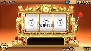 The Battle Cats 7th Anniversary special:Enter the wild cat slot!!!