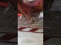 Marble door Sil Design #marble #dijainar #marbledesing #minivlog #Doordesing #shorts #shortvideo