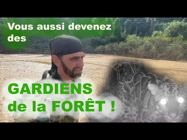 DULAN... et les GARDIENS de la FORÊT !