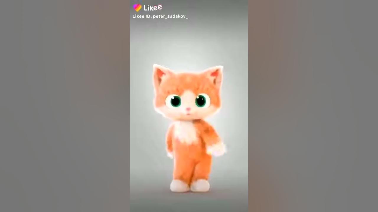 Танцующий котик - YouTube