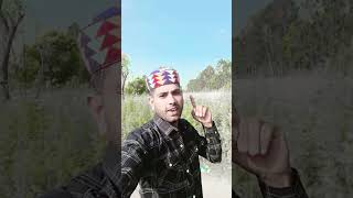 panch waqt ine minaron se aati Hai awaaz ki Allah bahut bada hai #shorts