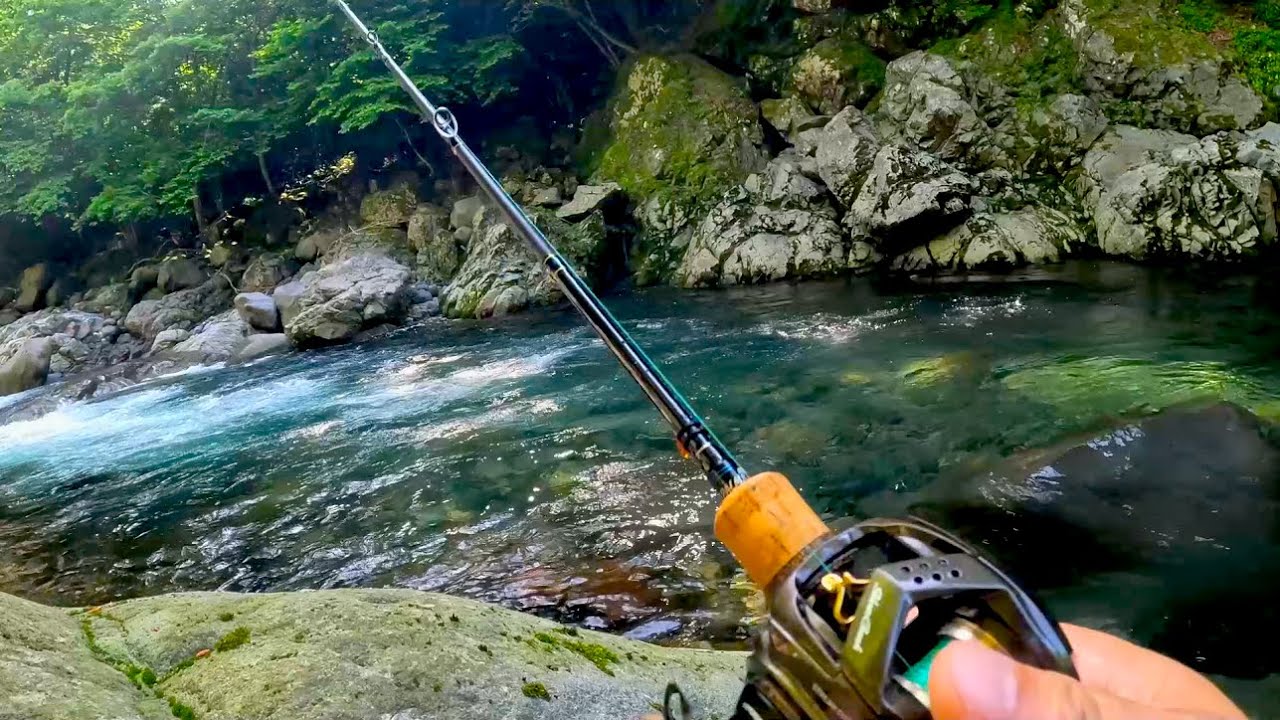 良型を狙いたいなら三岳地区へGO！4日間連続調査記録【木曽川漁協タイムズ19】