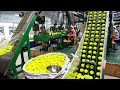 Tennis Balls Manufacturing || How Tennis Ball Made in Factory || Tennis Ball Processing Production