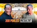 How He Turned 300 Chickens Into A Profitable Business