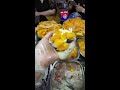 рџ ґLive рџ ґLive