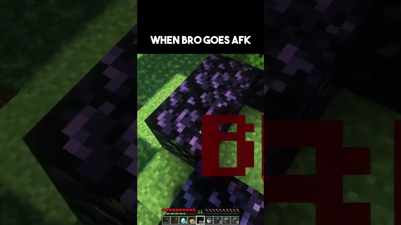 WHEN BRO GOES AFK