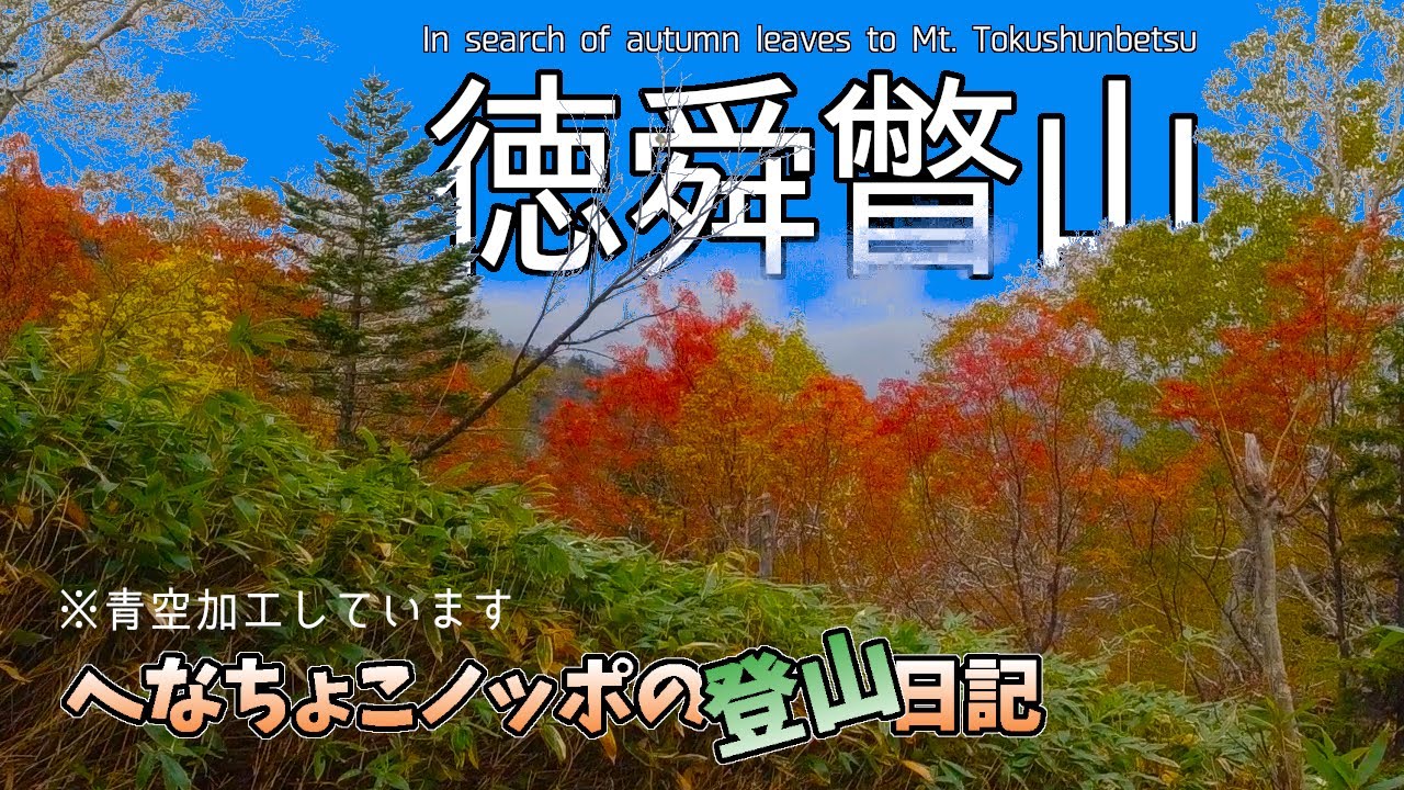 紅葉を求めて秋の徳舜瞥山へ 北海道百名山でアメのソロ登山 へなちょこノッポの登山日記006前編 登山口 7合目付近 登山道詳細確認 Youtube