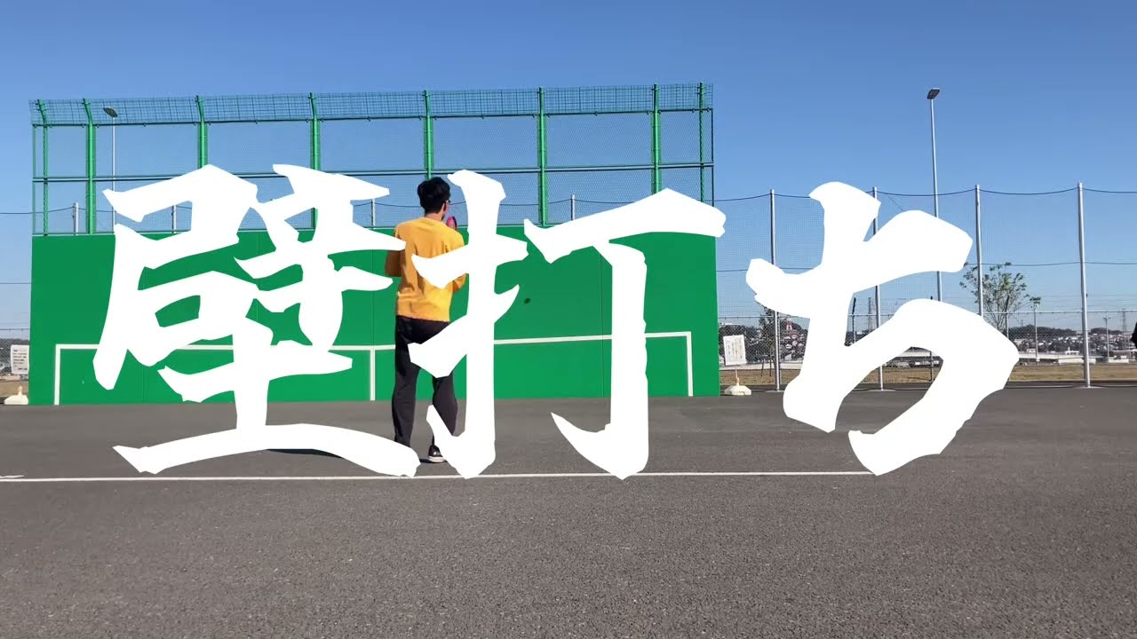 スポーツ mintonの壁（ほぼ新品）