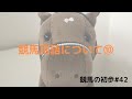 競馬の初歩#42(競馬用語⑩)