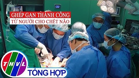 Ghép gan thành công từ người cho chết não