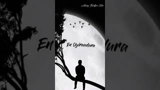 Ennadi Maayavi Nee ♥ Vadachennai Song ♥ Sidsriram ♥ Full Screen ♥ Whatsapp Status ♥ Dhanush ♥