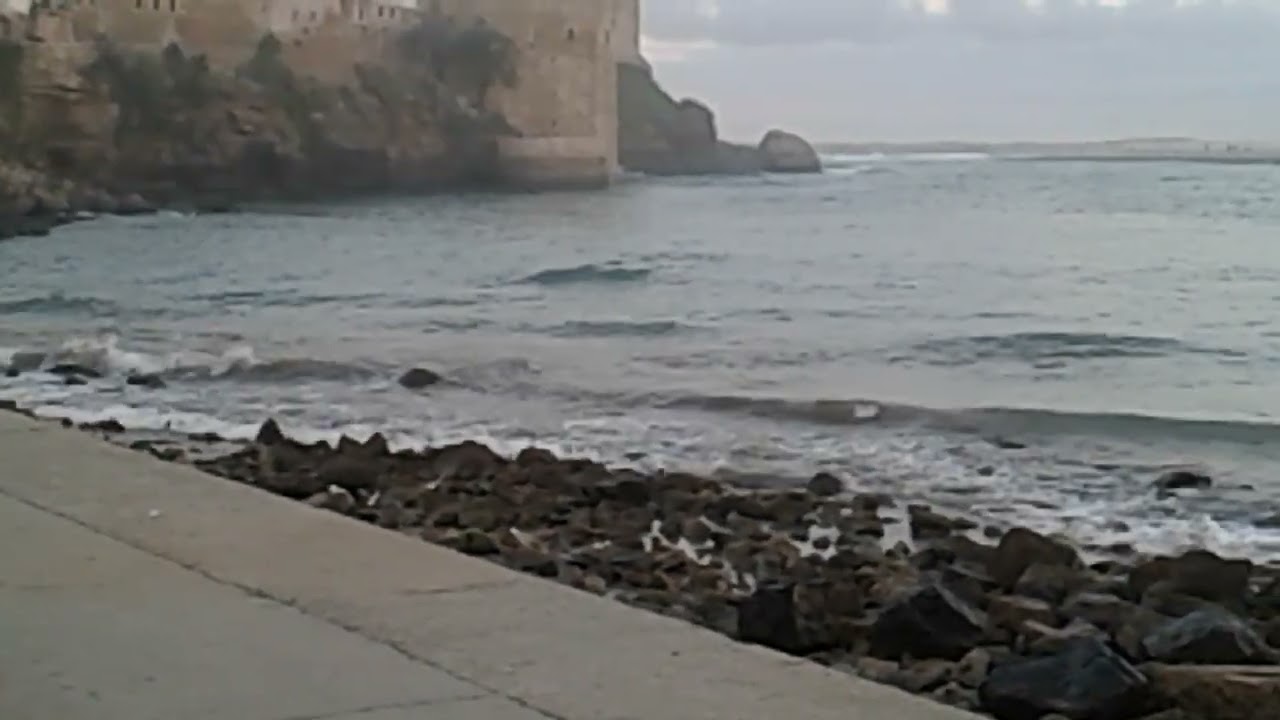 Waves and calm #.🌊🌹❤