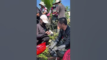 Tình nguyện viên dọn rác nghĩ gì? #saigonxanh #cleaning #environment #volunteer #shorts #windnet